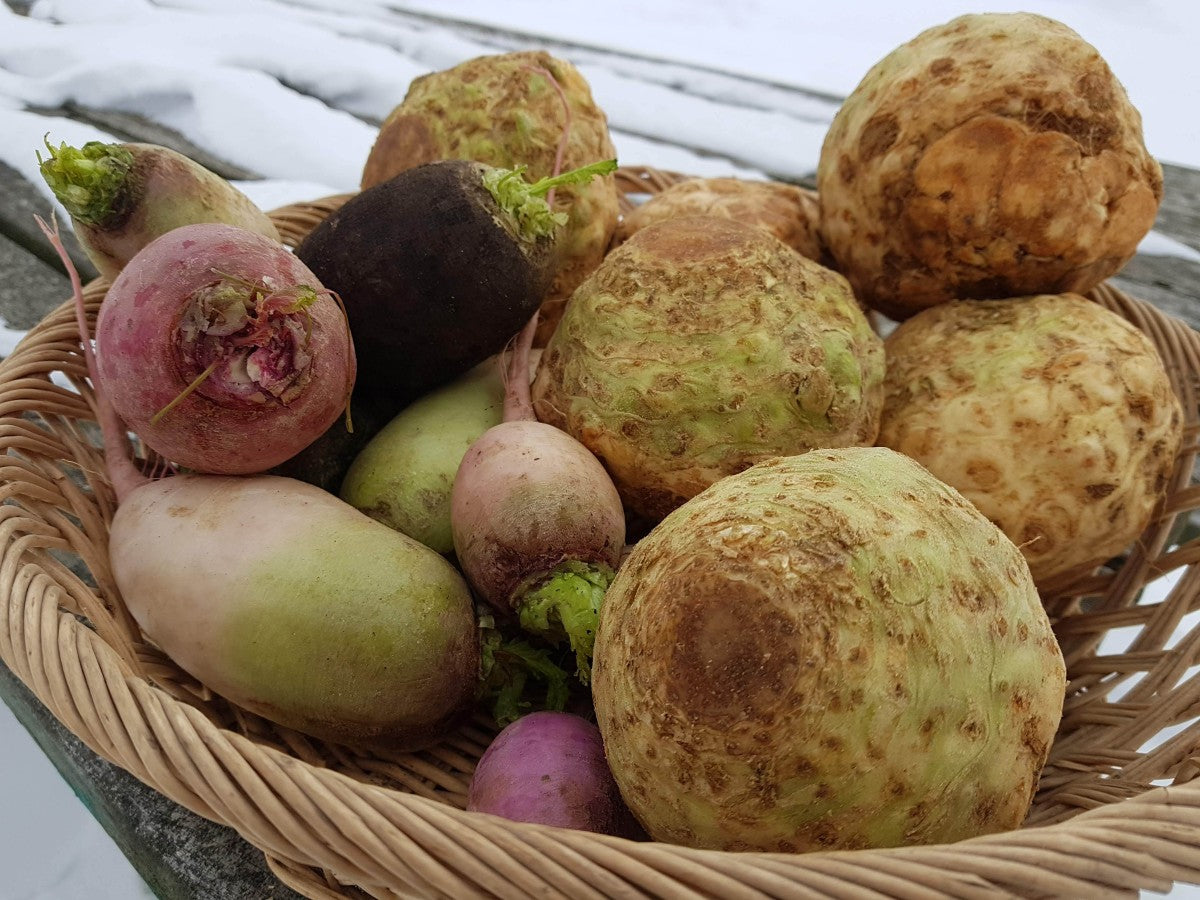 Choisir ses variétés de légumes pour la conservation