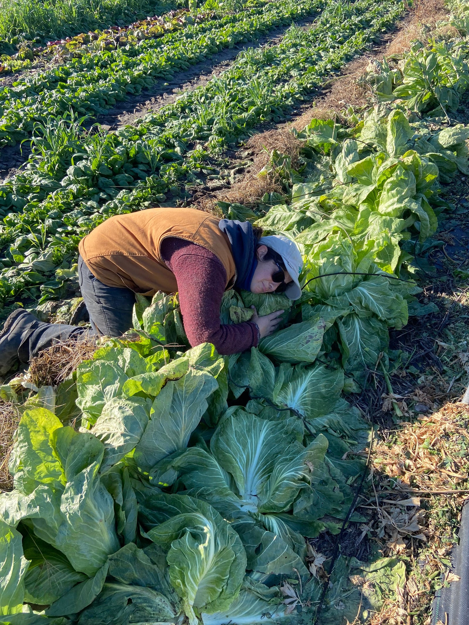Mettre le jardin au lit en douceur pour l’hiver