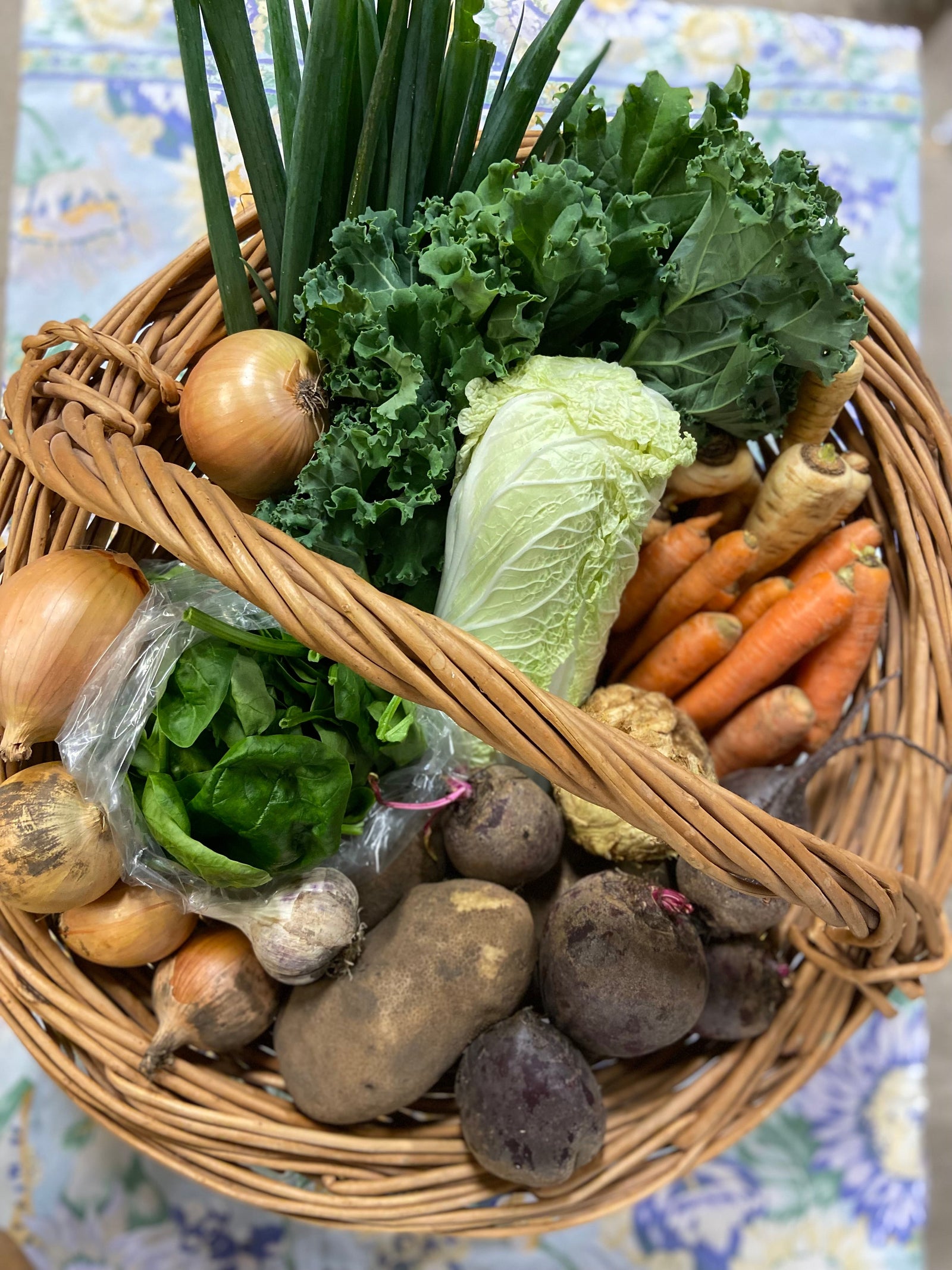 Le frigo n’est pas toujours ton ami : comment bien conserver tes récoltes d'automne