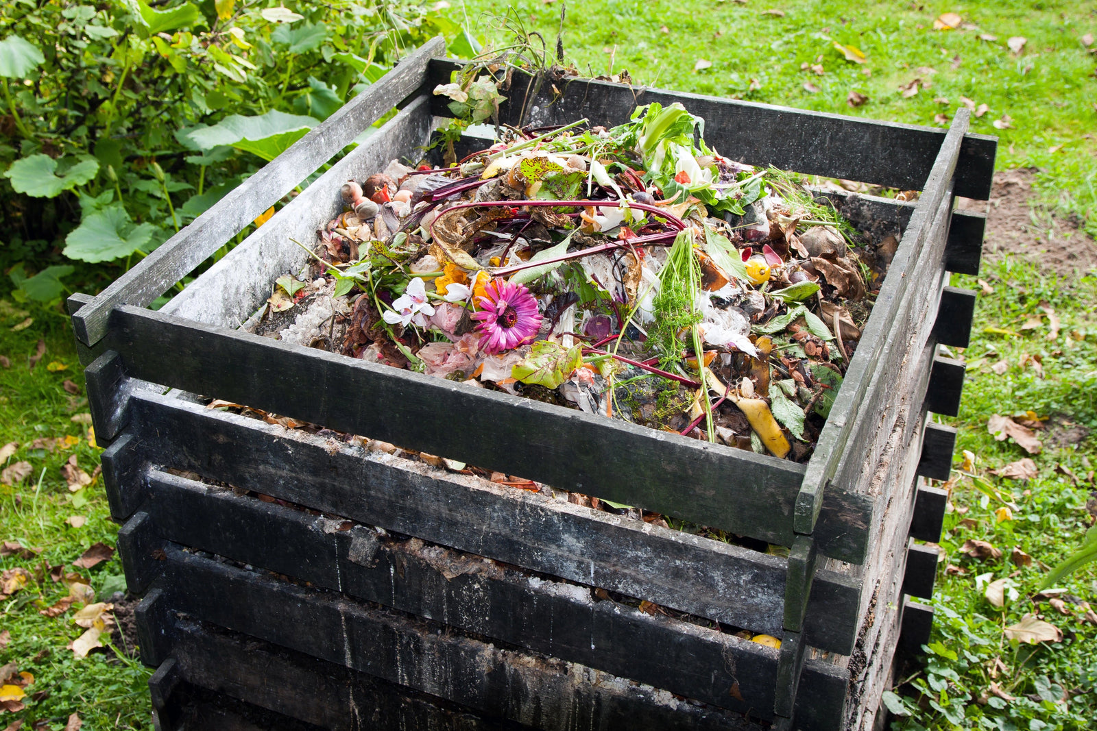 L’or noir du jardin : Le guide du compostage réussi