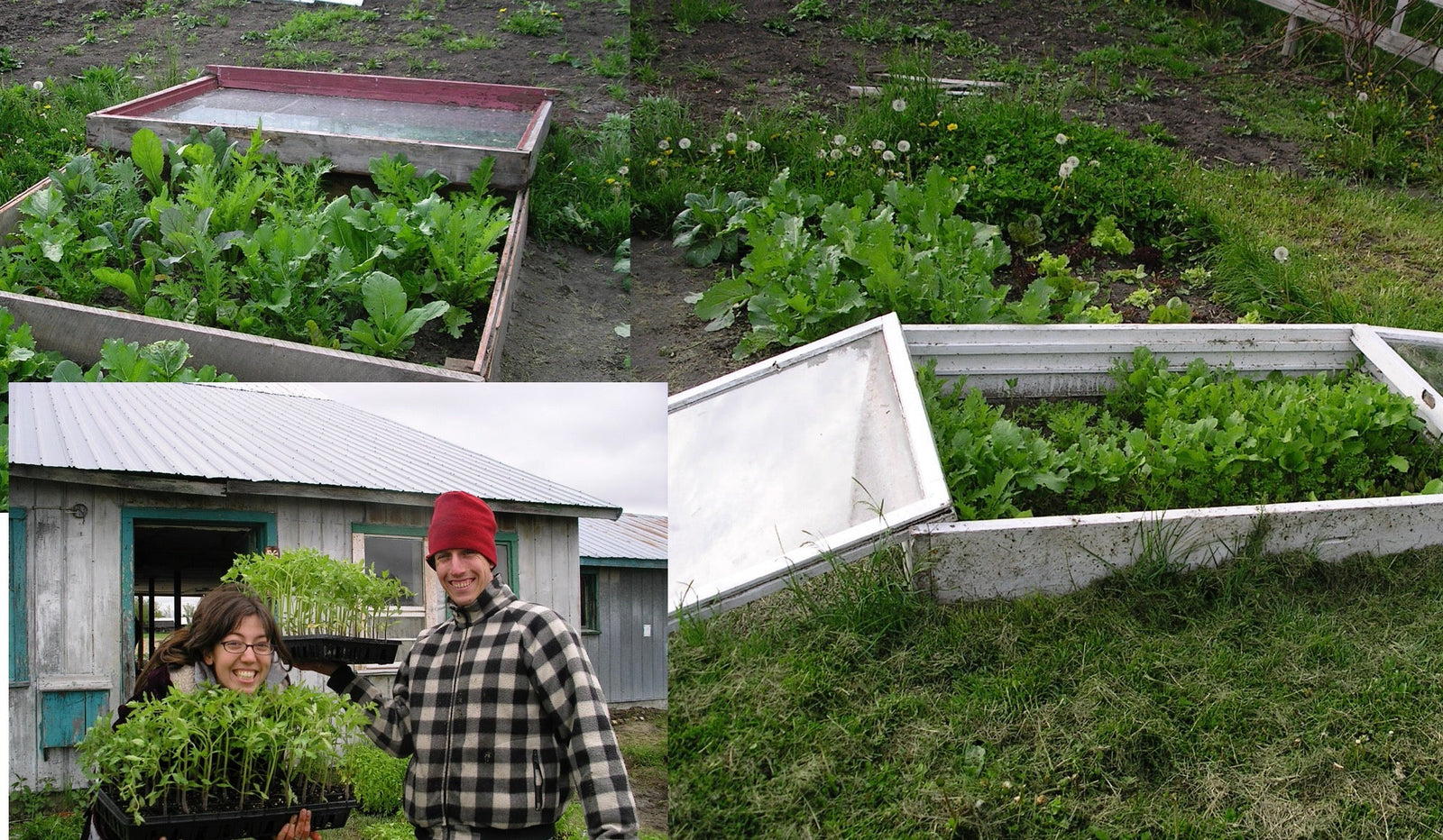 Quoi faire dans le jardin en avril : Gagne de précieuses semaines!
