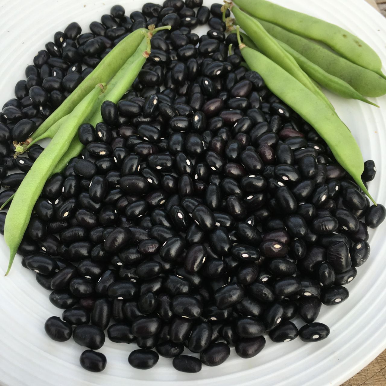 Une assiette blanche remplie de haricots noirs brillants, parsemée de quelques cosses de pois verts entières sur le dessus, le tout sur un fond de couleur neutre.