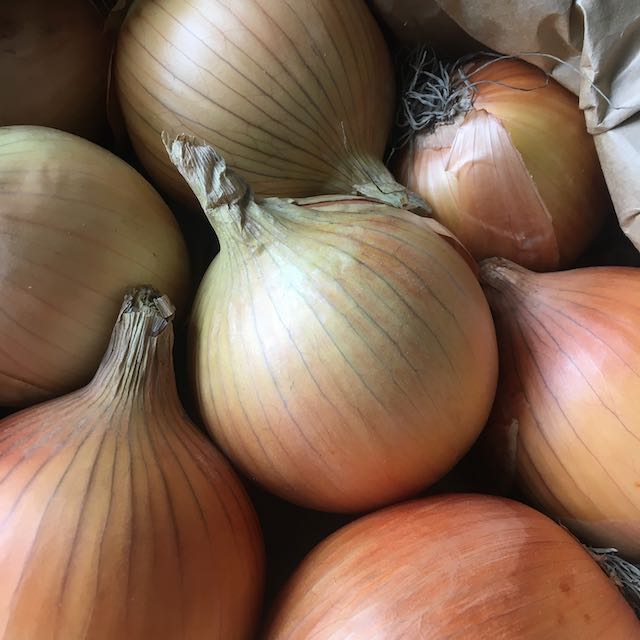 Un gros plan de plusieurs oignons entiers révèle des peaux brun clair, certaines enveloppées dans des cosses papyracées. Ils sont disposés dans un panier pour mettre en valeur leurs couches et textures distinctes, mettant en valeur l'attrait doux du célèbre Oignon Ailsa Craig - semences bio de Tourne-Sol.