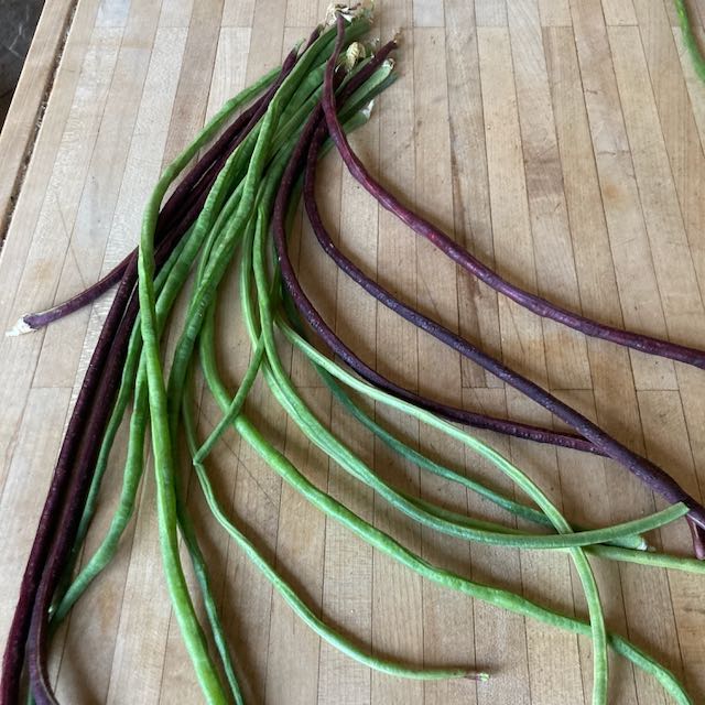 Mélange De Dolique Asperge Rouger Et Vert - semences bio de Tourne-Sol, composé de longs haricots verts et violets semblables aux haricots verts, sont disposés sur une planche à découper en bois.