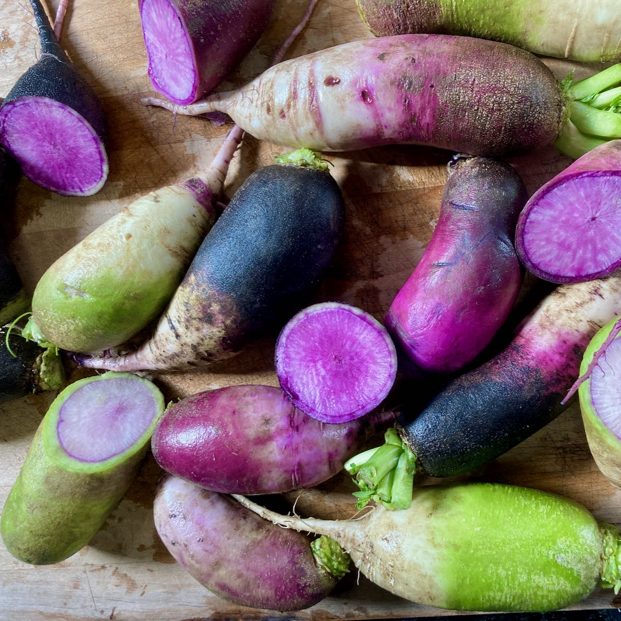 Le *Remix kaléidoscopique de radis longs - semences bio* de Tourne-Sol comprend une gamme de radis entiers et tranchés aux couleurs vives, présentant des peaux violettes, roses, vertes et noires avec des intérieurs violets vifs sur une surface en bois.