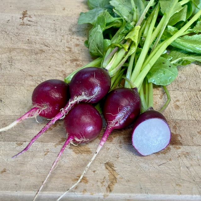 Malaga Radish - organic seeds