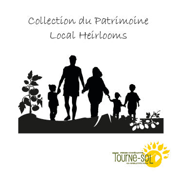 Un groupe de personnes admire quatre photographies de légumes en noir et blanc encadrées, exposées sur un mur en bois dans une galerie d'art. Les photos mettent en vedette le Melon Oka, la Carotte Rouge Chantenay, les radis et la Tomate Andine Cornue de la Collection Du patrimoine 67,35$ de Tourne-Sol. Des cordes de velours rouge et de petites lampes rehaussent le décor de la galerie.