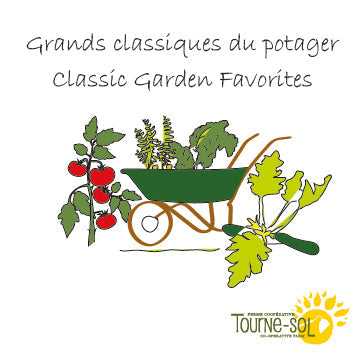 Illustration numérique d'un tracteur sur un paysage rural avec des champs et des arbres. La scène est encadrée, posée sur un fond tartan rouge. À droite se trouve le disque vinyle de la Collection Grands classiques du potager de Tourne-Sol - 44,90$ avec des dessins de produits de la ferme comme la Carotte Scarlet Nantes, l'Aubergine Black Beauty et la Tomate Rouge Cerise Peacevine sur l'étiquette.