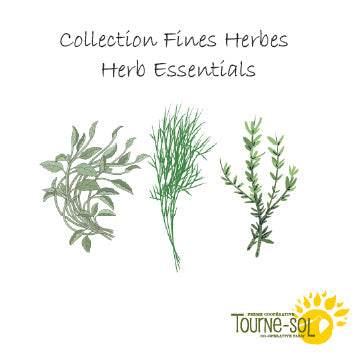 Illustration représentant une assiette centrale avec un trio de feuilles de menthe, entourées d'un motif circulaire d'herbes fleuries comme le thym et le basilic, le tout sur fond de feuilles vertes stylisées et d'accents beige clair, mettant en valeur la Collection Fines herbes - 35,92$ par Tourne- Sol.