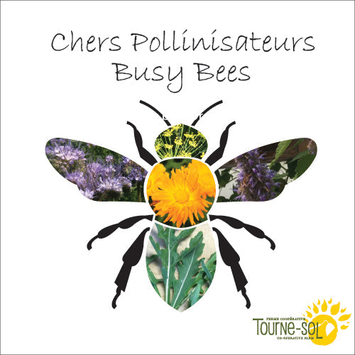 Un champ serein de fleurs sauvages roses et violettes avec le contour d'une main tenant un symbole en forme de cœur contenant une abeille, soulignant le lien entre la nature et la pollinisation. Ces plantes vibrantes sont des alliées vitales dans l’équilibre délicat de notre écosystème. Collection Aidez les pollinisateurs - 35,92$ par Tourne-Sol.