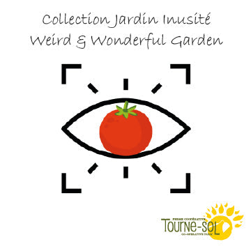 Une scène de jardin fantaisiste avec des légumes animés. Chacun a une expression faciale et un costume distincts, comme une citrouille avec un chapeau de sorcier, un ail avec un visage surpris et un feuillage vert avec les bras levés. Parmi eux se trouve la Collection Jardin Inusité - 67,35$ de Tourne-Sol dans ce jardin hors de l'ordinaire. Un paysage avec des champs et des arbres forme l'arrière-plan.