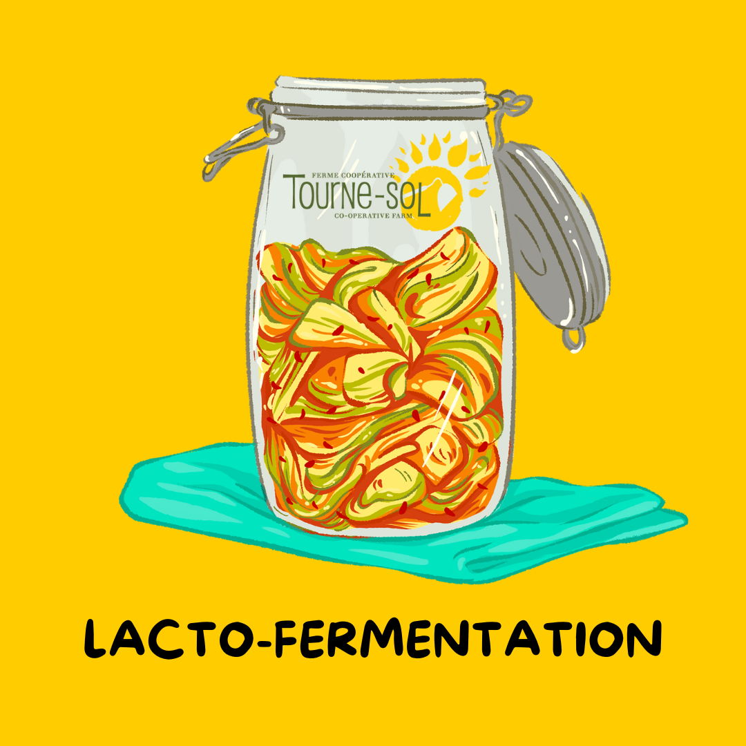 Un bocal en verre étiqueté "Tourne-Sol" est posé sur un tissu bleu, rempli de légumes vibrants dans un liquide. Le fond jaune indique "Lacto-Fermentation" et met en évidence la *Collection Lacto-Fermentation de Tourne-Sol.