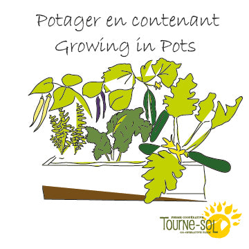Campagne de financement <BR>*Collection Potager en Contenant