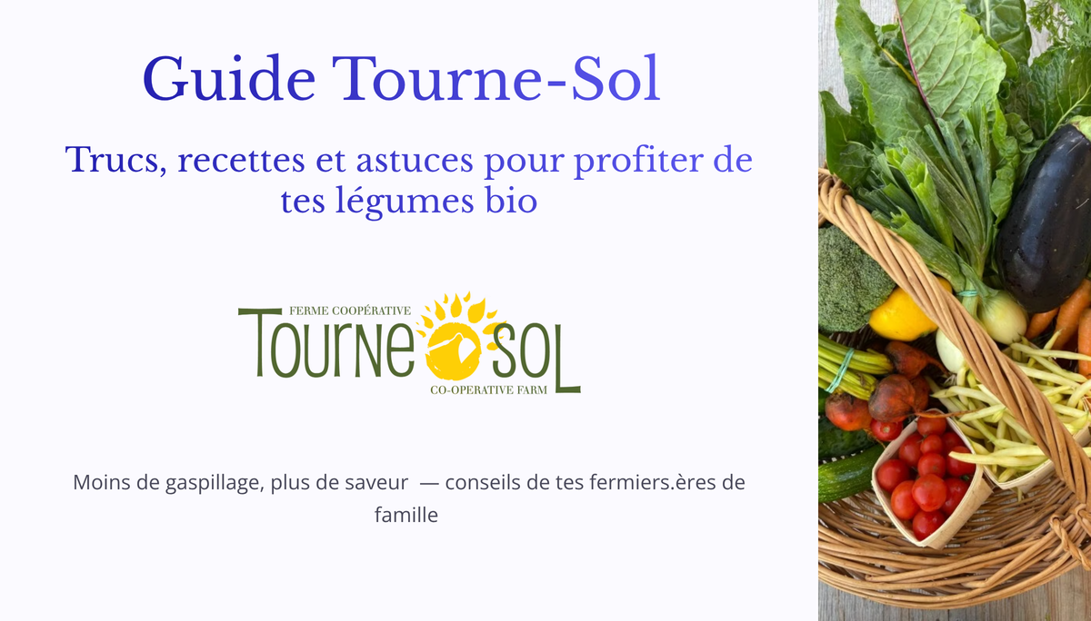 Guide Tourne-Sol: Trucs, recettes et astuces pour profiter de tes légumes bio