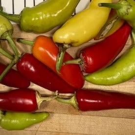 Gochu Hot Pepper - organic seeds