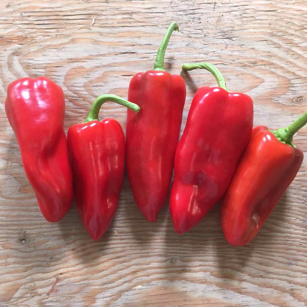 Cinq poivrons doux bio Poivron Doux Karma de Tourne-Sol, aux tiges vertes, sont alignés sur une surface en bois rustique.