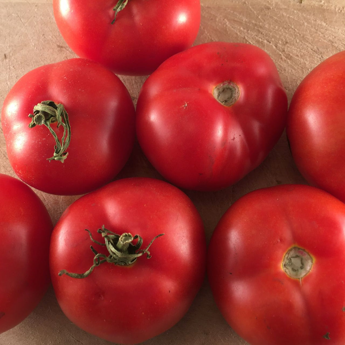 Un gros plan de sept Tomate Rouge Québec #13 de Tourne-Sol, semences bio, montre leur texture lisse et brillante et leurs formes légèrement irrégulières sur une surface en bois vintage indicative des années 1950, laissant entrevoir un délicieux goût sucré.