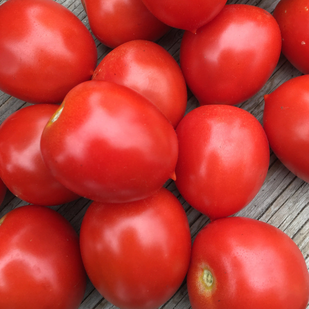 Gros plan de nombreuses Tomate Rouge Ruby-Sol - semences bio de Tourne-Sol, présentant des peaux rouges lisses et brillantes reflétant la lumière sur une surface en bois texturée.