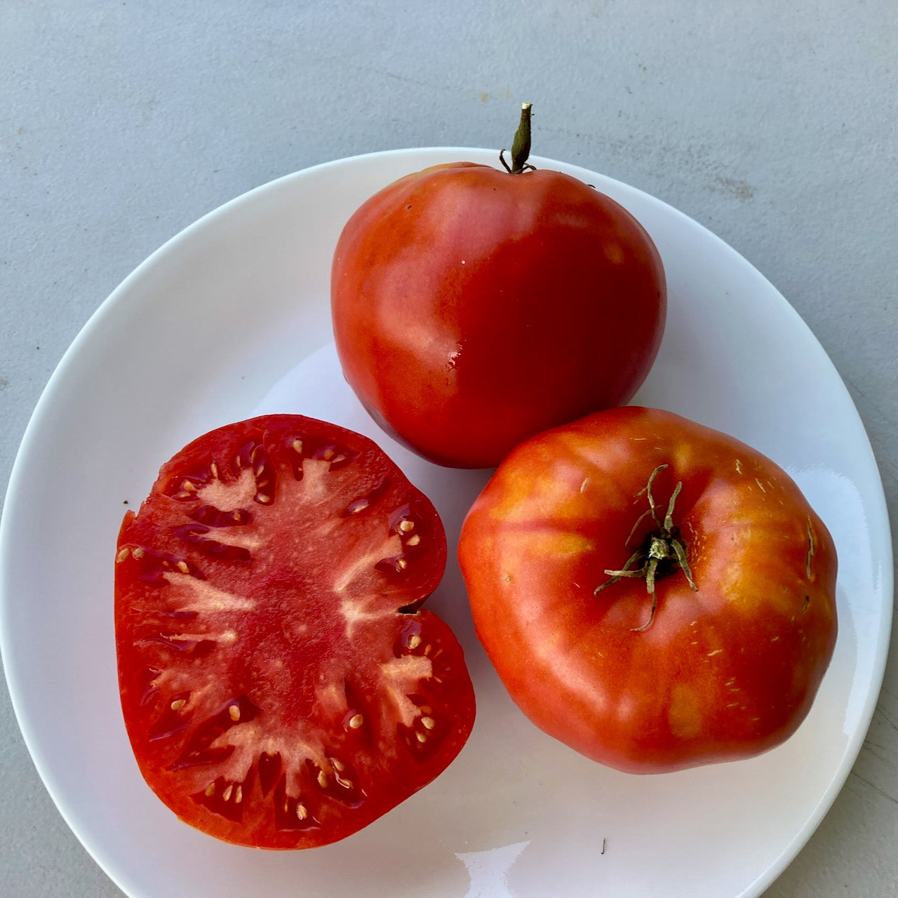 Deux tomates entières italiennes Heirloom de Tourne-Sol et une demie, mettant en valeur son intérieur juteux avec des semences bio, sont disposées sur une assiette blanche sur fond gris clair.