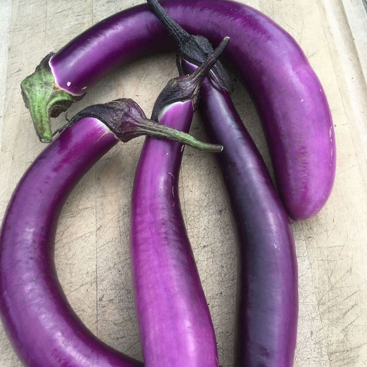 Ping Tung Long Eggplant - organic seeds