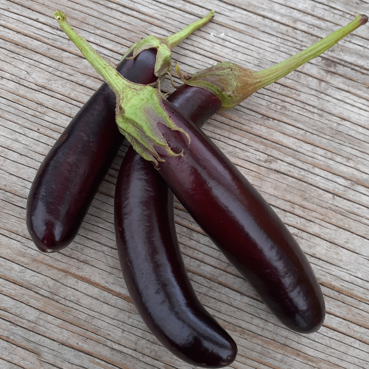 Trois petits doigts d&#39;aubergine brillants de Tourne-Sol, aux tiges vertes, reposent élégamment sur une surface en bois.