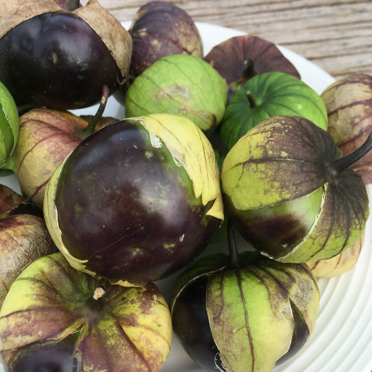 Un gros plan de Tomatillo Mauve - semences bio de Tourne-Sol montre plusieurs tomatillos violets et verts avec des enveloppes en papier sur une assiette blanche, sur un fond en bois.