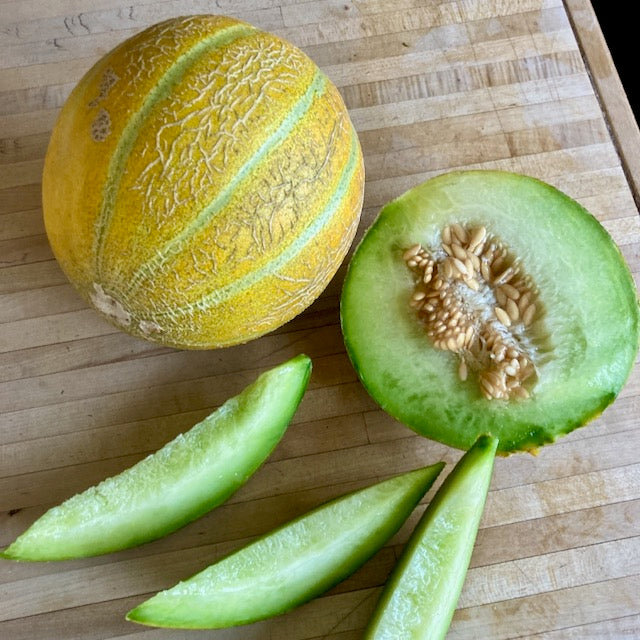 Haogen Melon - organic seeds
