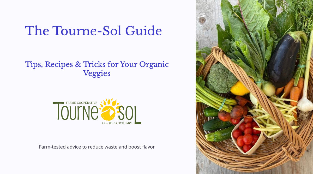 Tourne-Sol Guide - Tips, Recipes & Tricks for Your Organic Veggies