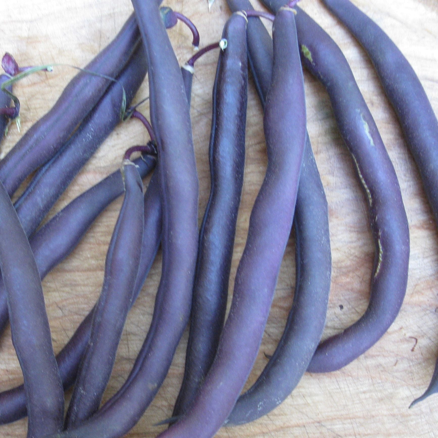 Gros plan de plusieurs haricots nain mauves Royal Burgundy frais de Tourne-Sol dispersés sur une surface en bois. Les haricots présentent une texture lisse et une riche couleur violette, avec des notes de vert qui se transforment en vert à la cuisson.