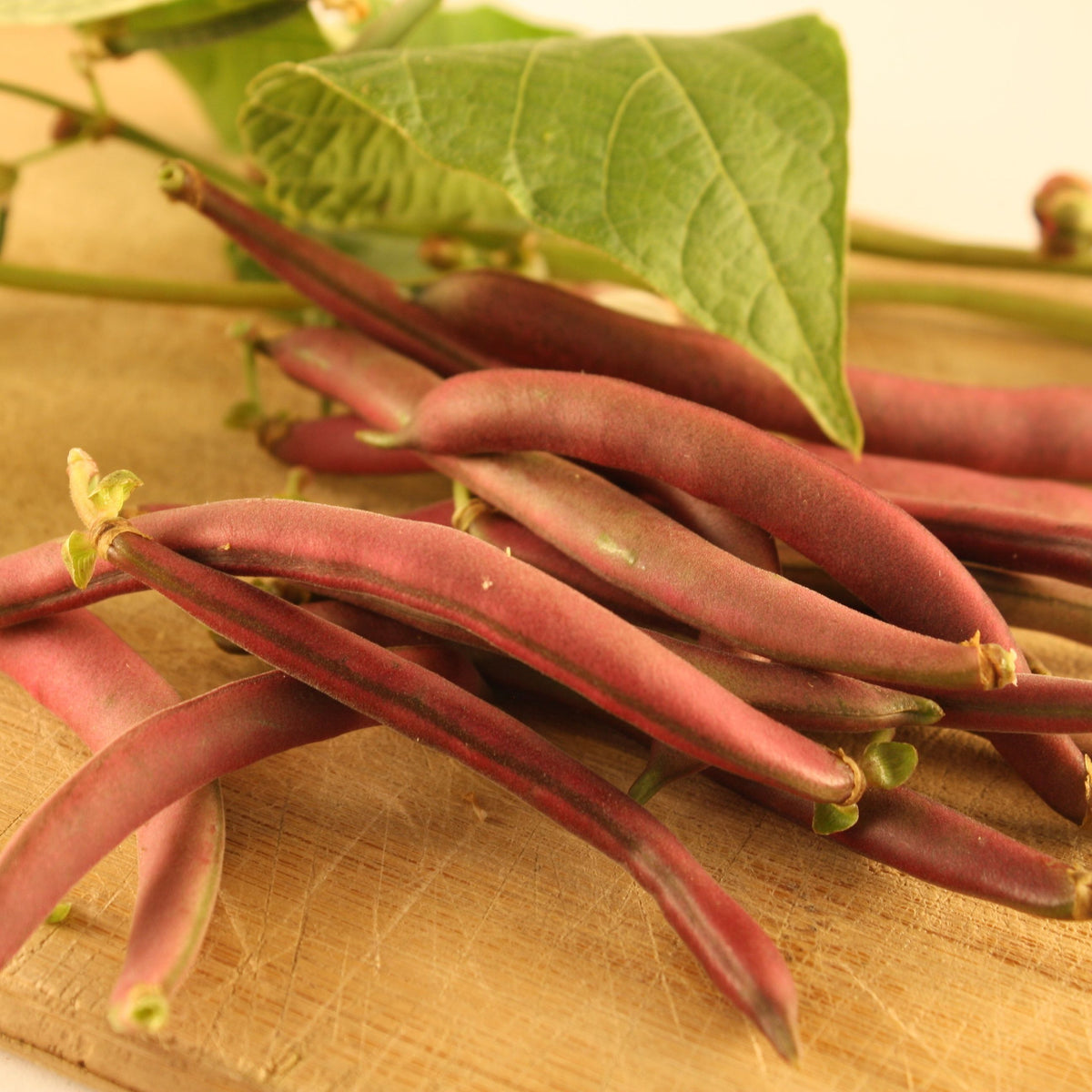 Les haricots Nain Rouge Red Swan de Tourne-Sol, aux feuilles vertes vibrantes, sont présentés sur une planche à découper en bois sous la chaude lueur d&#39;une lumière rose-rouge.