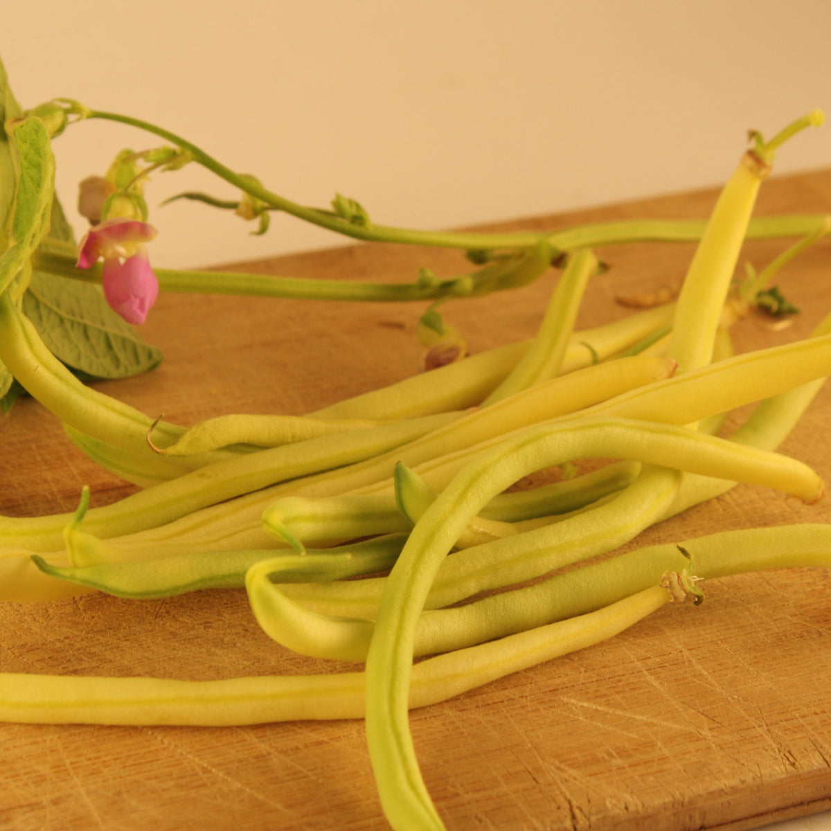 Une collection de Haricot Nain Jaune Rocdor frais, de Tourne-Sol, avec une petite fleur rose et des feuilles vertes repose sur une surface en bois. Les haricots sont longs et fins, mettant en valeur leur courbure naturelle et encapsulant l&#39;essence d&#39;un frisquet de printemps croquant.