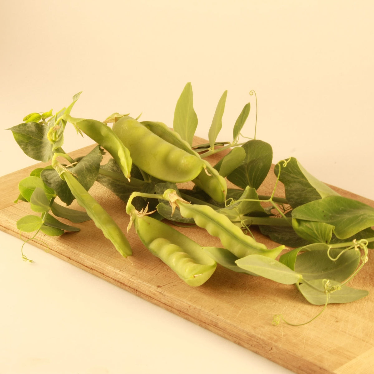 Une collection de cosses et de feuilles de pois fraîches et éclatantes du Pois des Neiges Oregon Sugar Pod II - semences bio de Tourne-Sol est élégamment disposée sur une planche à découper en bois sur fond beige clair. Les cosses de 10 cm de long sont charnues et les feuilles luxuriantes dégagent un charme naturel et rustique.