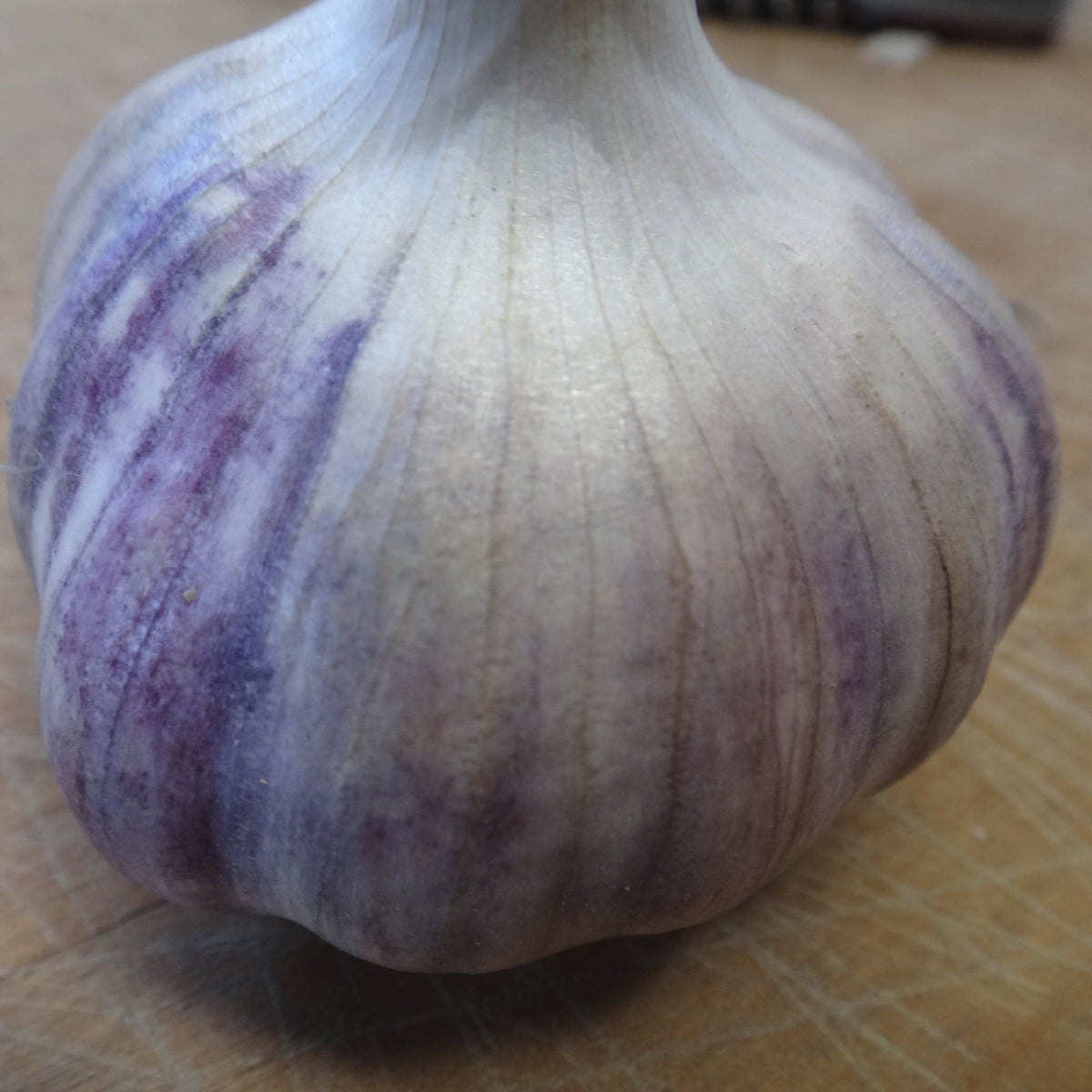 Un gros plan d&#39;un Tourne-Sol Bulbes d&#39;Ail Rocambole Violet de Corée sur une planche à découper au Québec.