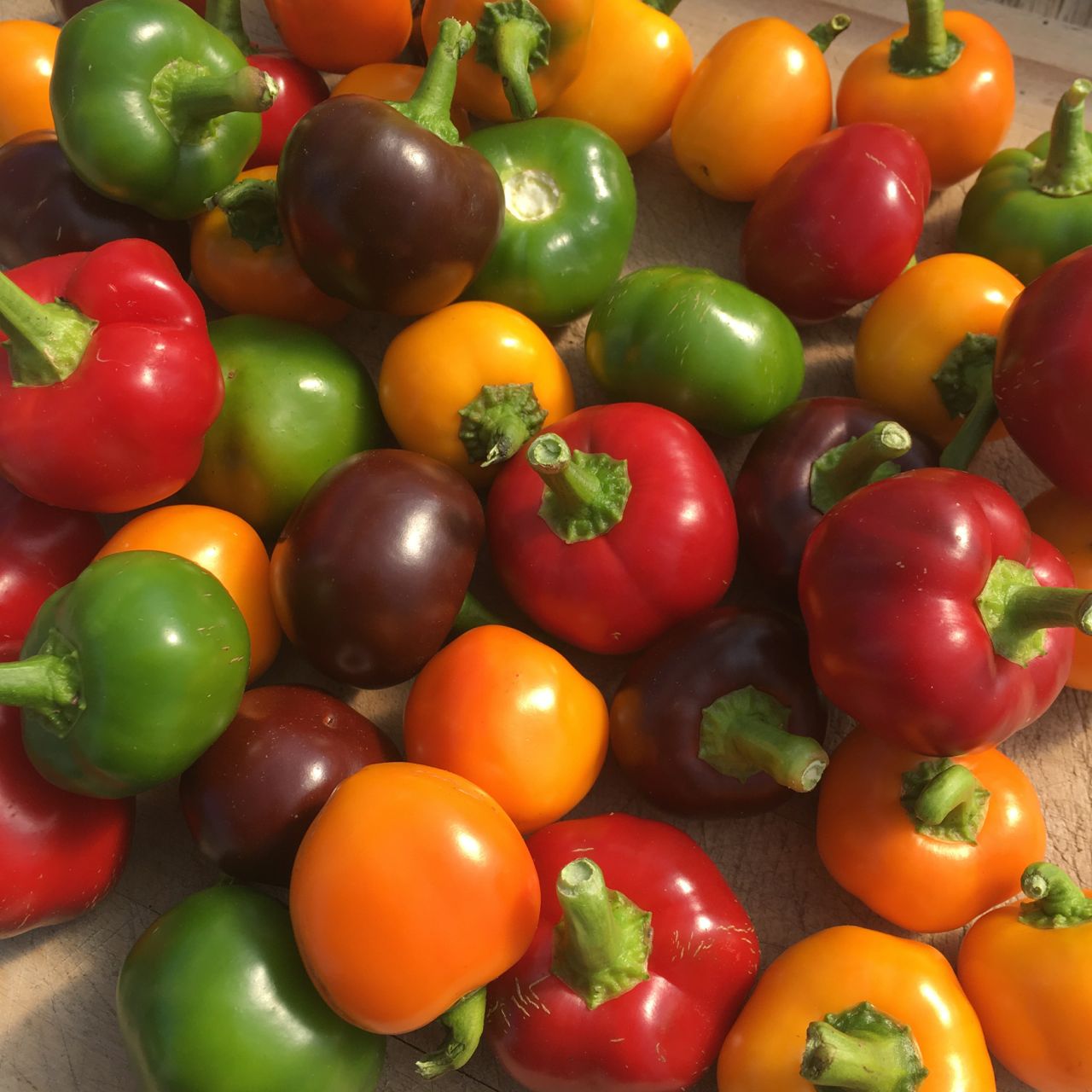 Un tas de Bombes Tourne-Sol Mélange de Piments colorées sur une table.