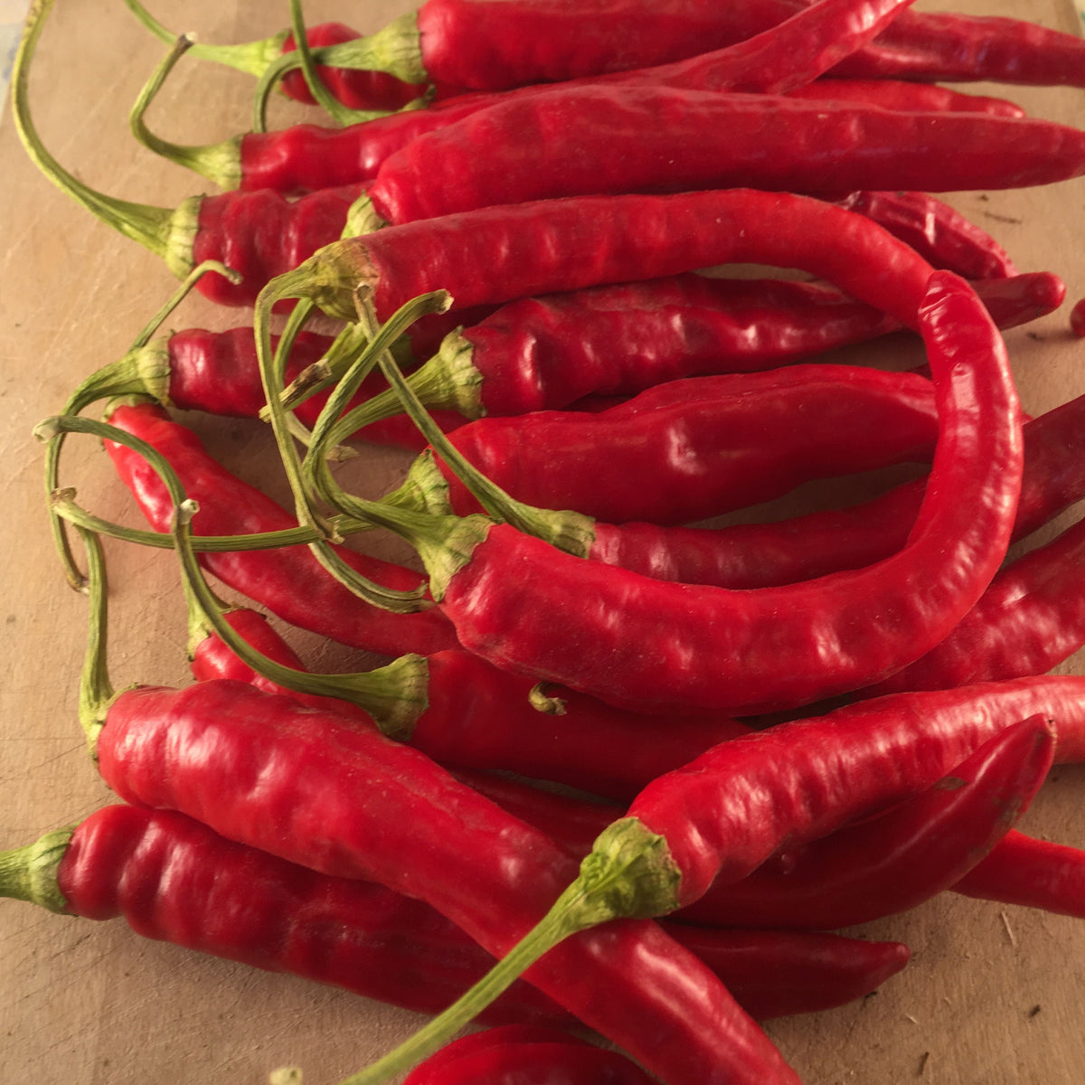 Une pile de piments forts Red Rocket Tourne-Sol sur une planche à découper.