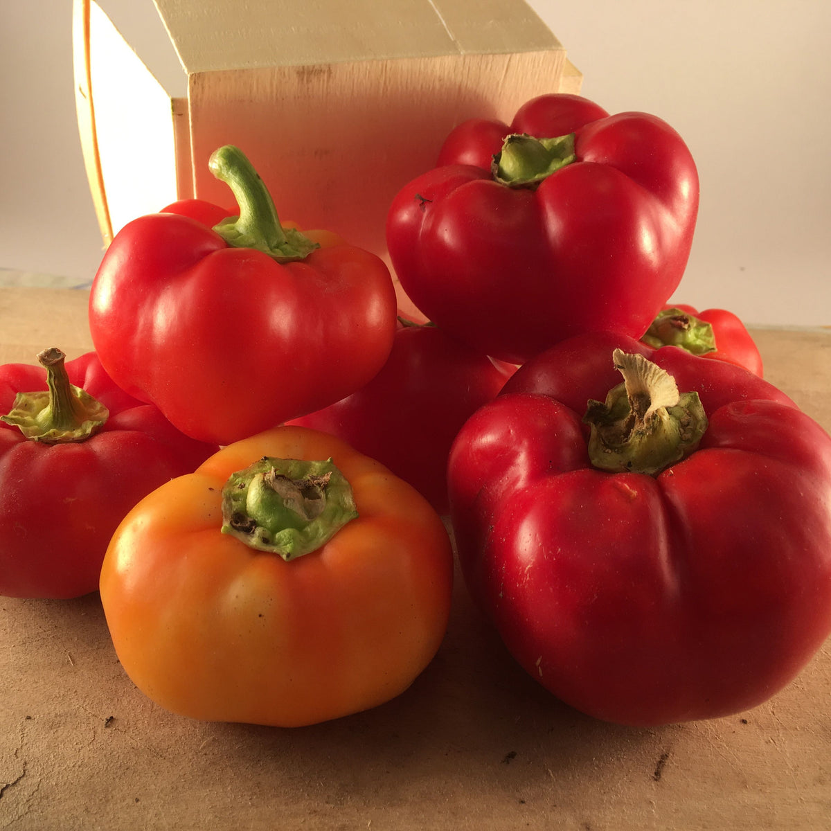 Une collection de piments Paprika Piment Fort Alma de Tourne-Sol, aux teintes de rouge et d&#39;orange, repose sur une surface en bois. Une boîte en bois à l&#39;arrière-plan complète la scène rustique, tandis que les divers piments ajoutent une touche fraîche et épicée.