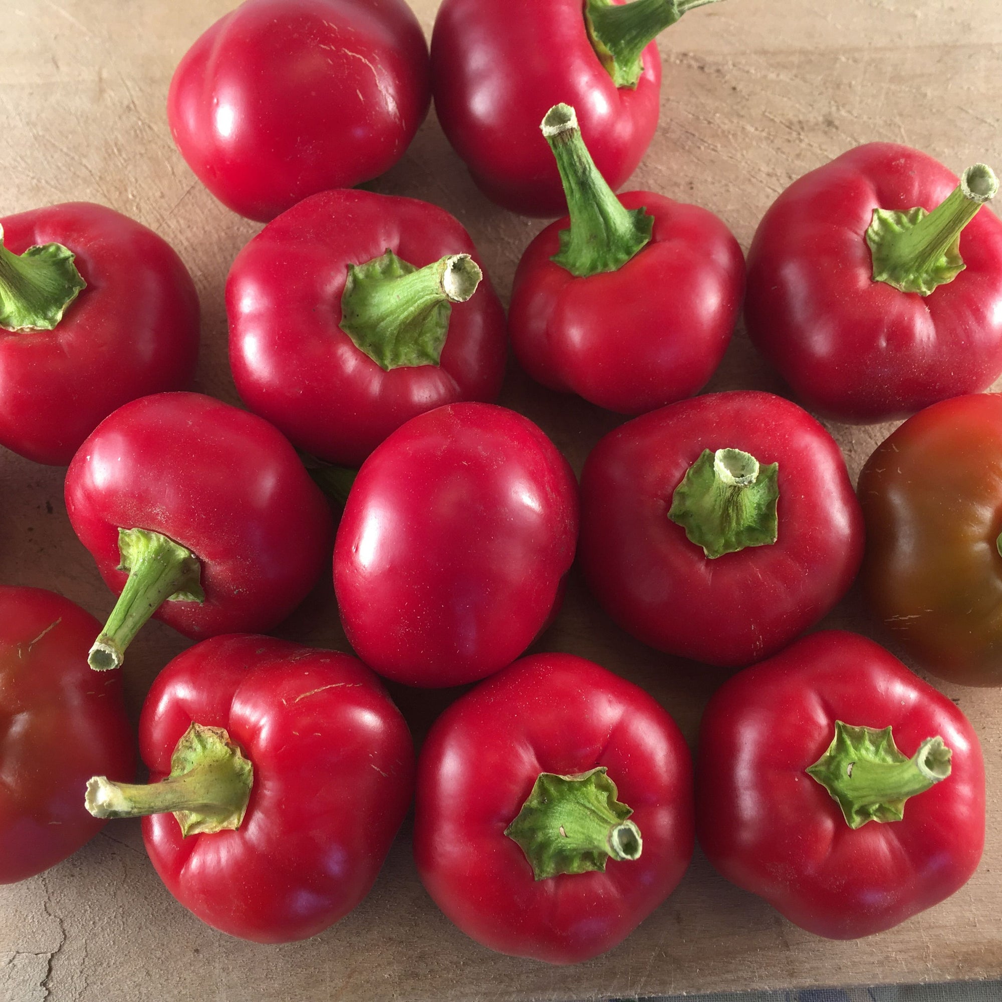 Un groupe de Piments Fort Gordz Cherry Bomb sur une table en bois. Nom de la marque : Tourne-Sol.