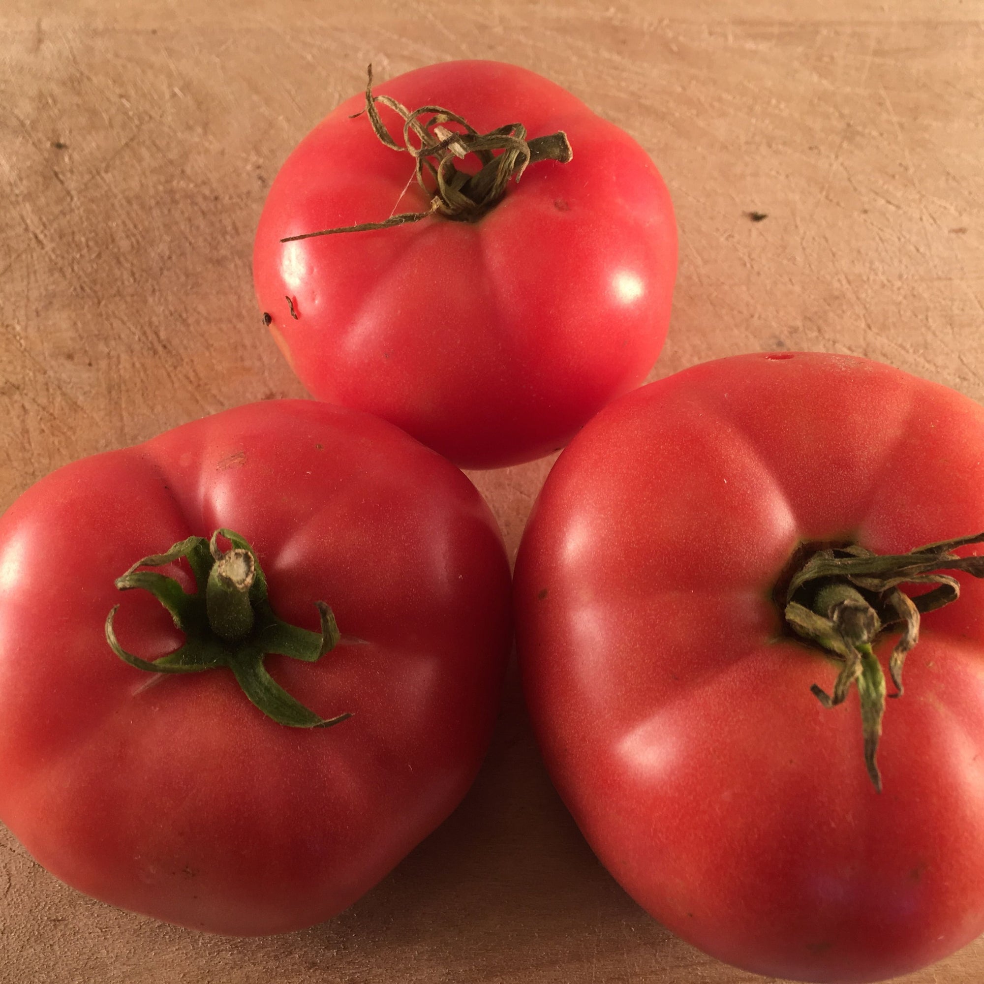 Trois Tourne-Sol Tomate Rose Mac Pink sur une table en bois.