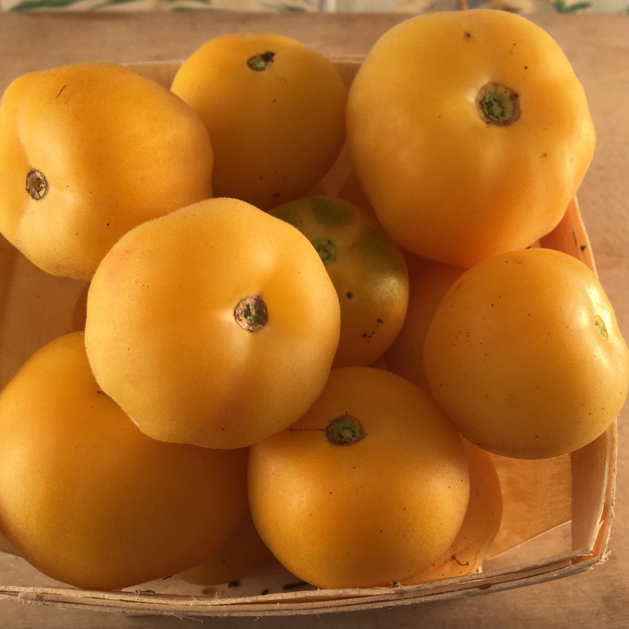 Un panier en bois contient la Tomate Jaune Wapsinicon Peach de Tourne-Sol, une collection de tomates jaunes mûres et lisses avec de petites taches vertes sur une surface en bois. Ces fruits ont une apparence fraîchement récoltée et un goût sucré subtil et séduisant.